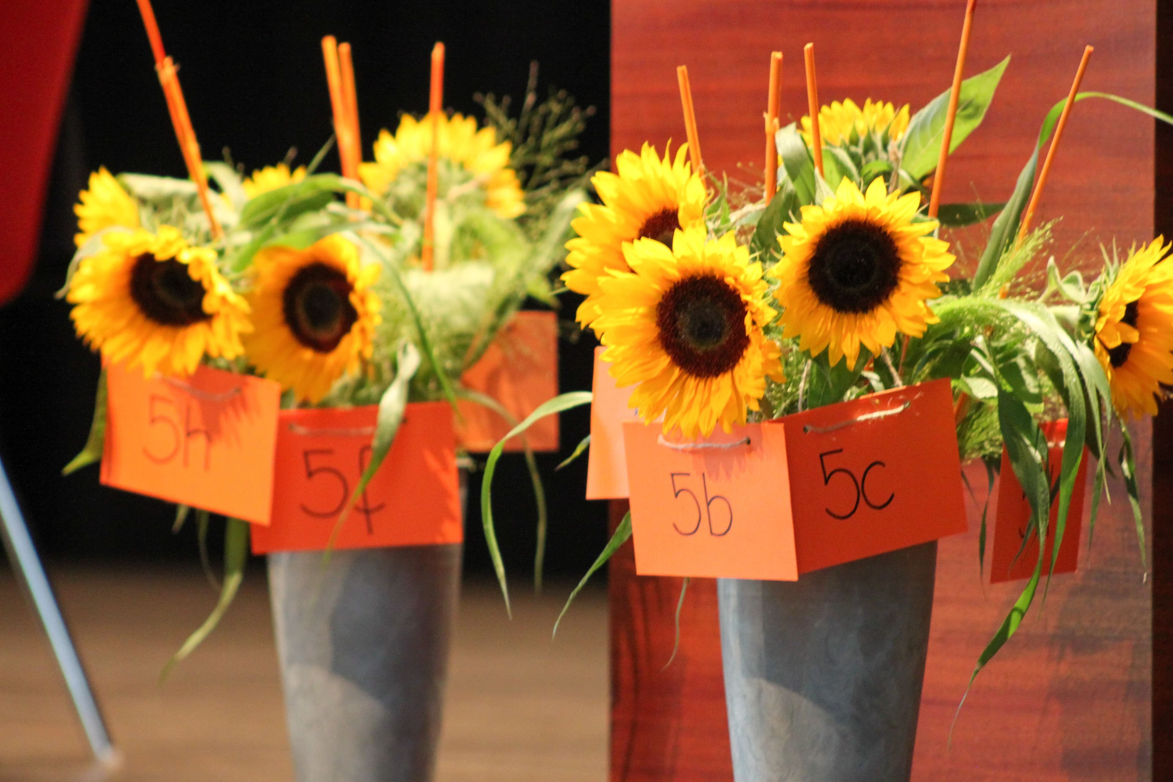 a row of vases filled with sunflowers and straws .