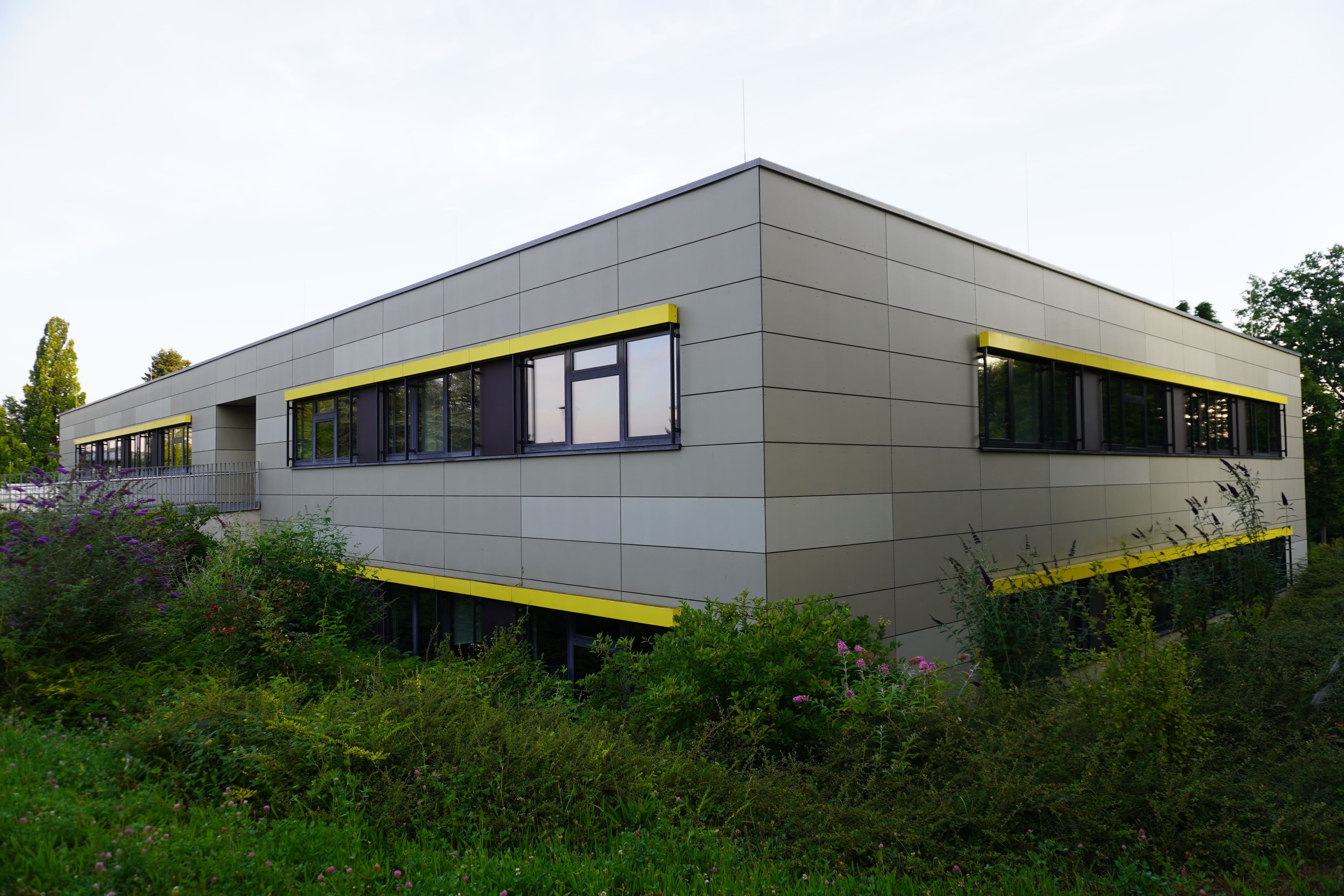 a large building with a lot of windows is surrounded by grass and bushes .